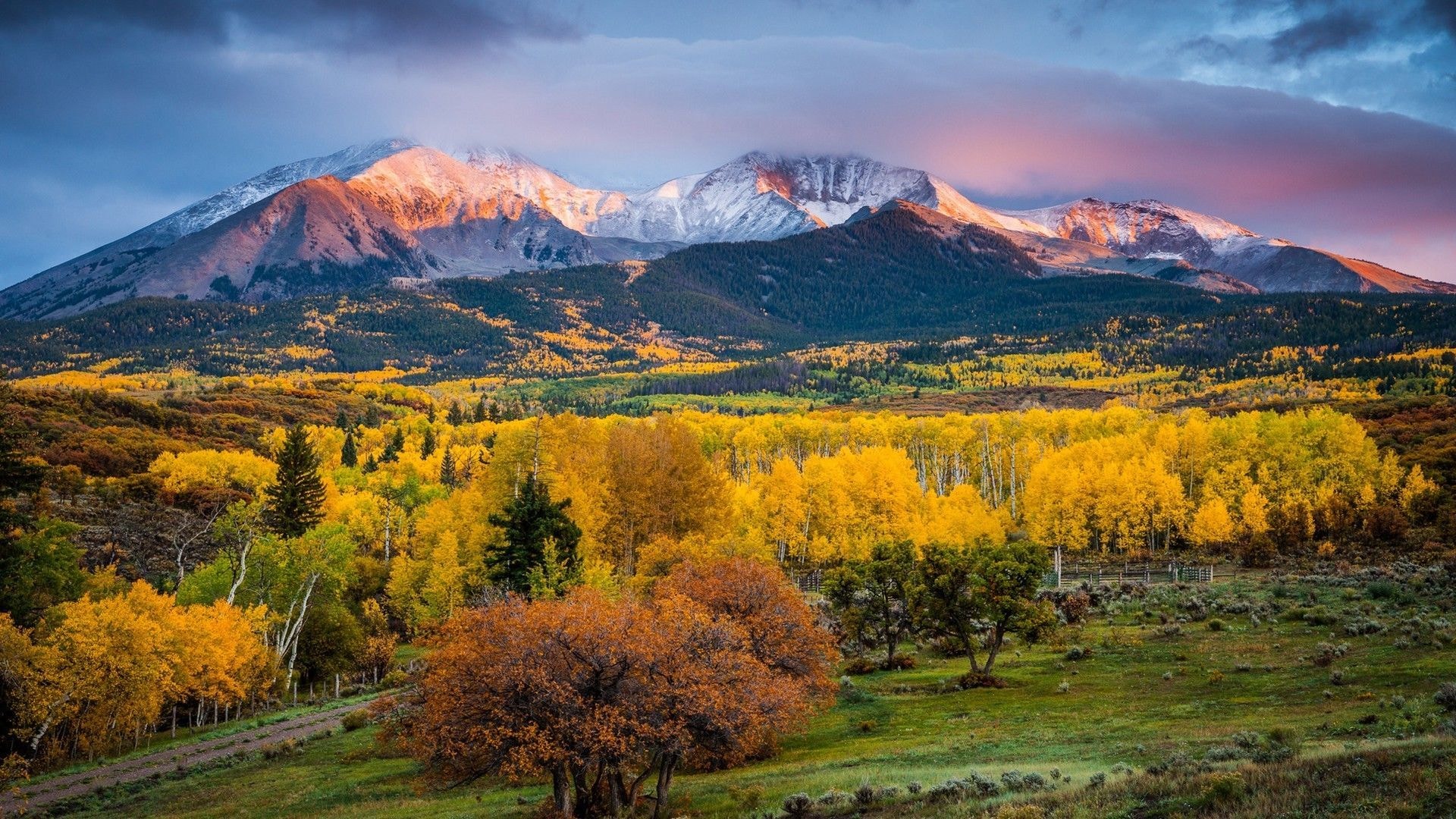 Colorado mountain landscape — statewide service